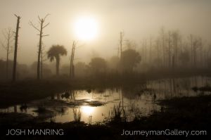 Josh Manring Photographer Decor Wall Art -  Florida Everglades -85.jpg